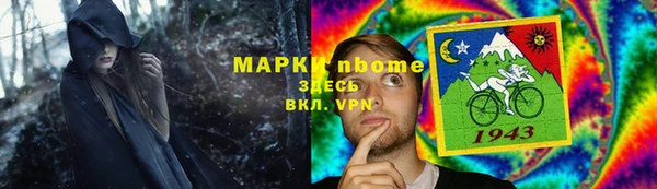 крисы Богородицк