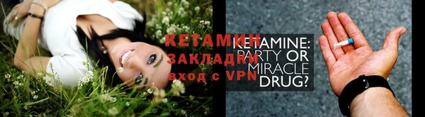 крисы Богородицк