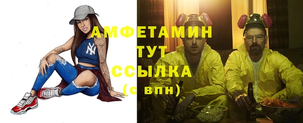 крисы Богородицк