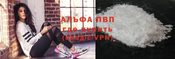 крисы Богородицк