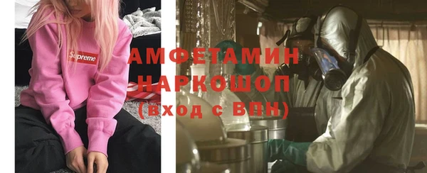 крисы Богородицк