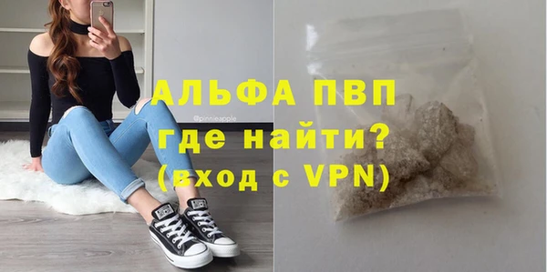 крисы Богородицк