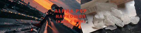 крисы Богородицк