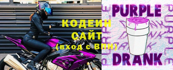 крисы Богородицк