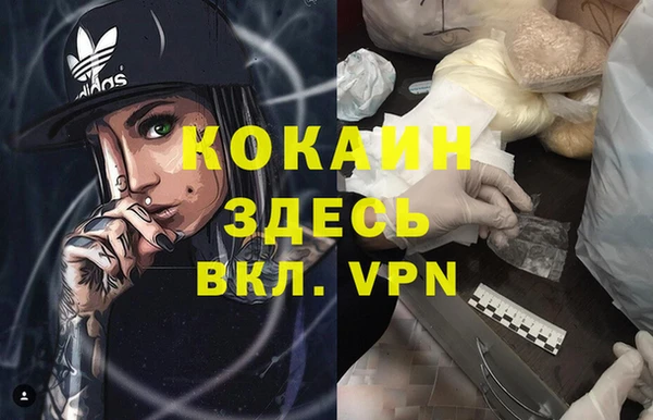 гидра Покровск