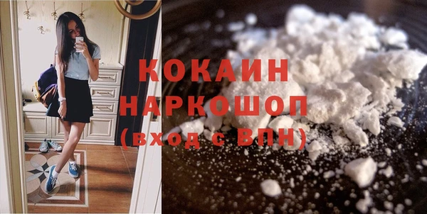 крисы Богородицк
