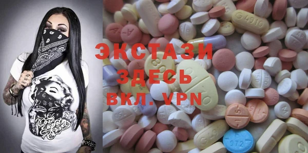 крисы Богородицк