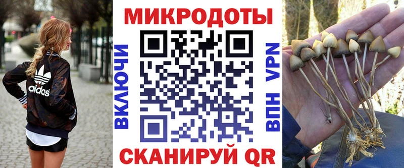 Псилоцибиновые грибы MAGIC MUSHROOMS  Воскресенск 
